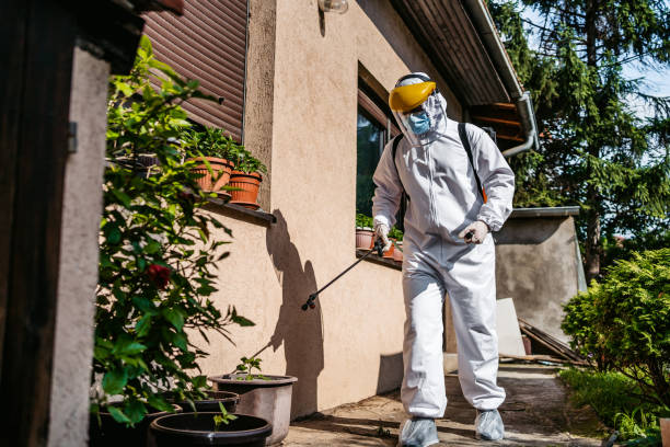 Best Residential Pest Control  in Rancho San Diego, CA