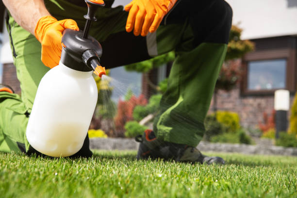 Best Mosquito Control Services  in Rancho San Diego, CA