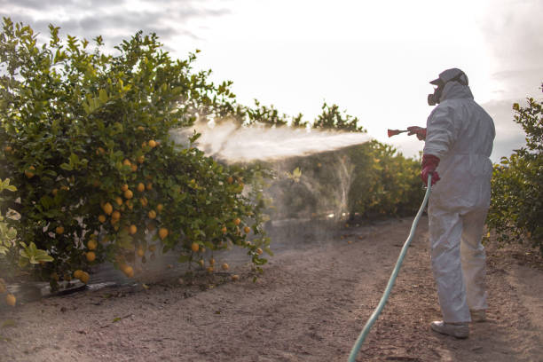 Best Best Pest Control Companies  in Rancho San Diego, CA